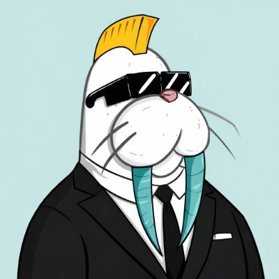 EdCryptoFi — Web3 Video Creator and Community Content Lead
